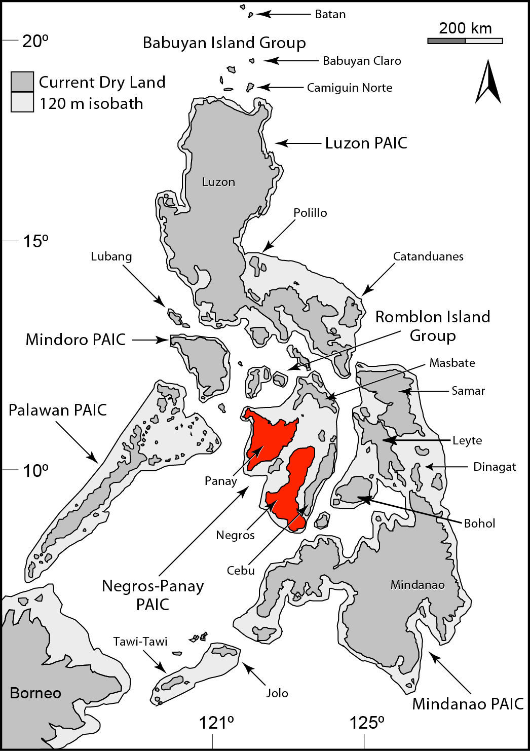 Слика од Luperosaurus corfieldi Gaulke, Rösler & Brown 2007