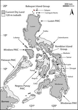 Luperosaurus macgregori Stejneger 1907 resmi