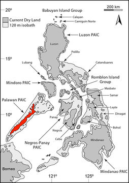 Sivun Cyrtodactylus redimiculus King 1962 kuva