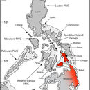 Image of Mindanao Sphenomorphus