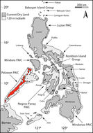 Sivun Varanus palawanensis Koch, Gaulke & Böhme 2010 kuva