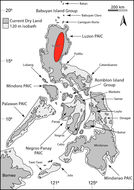 Plancia ëd Parvoscincus hadros (Brown, Linkem, Diesmos, Balete, Duya & Ferner 2010)