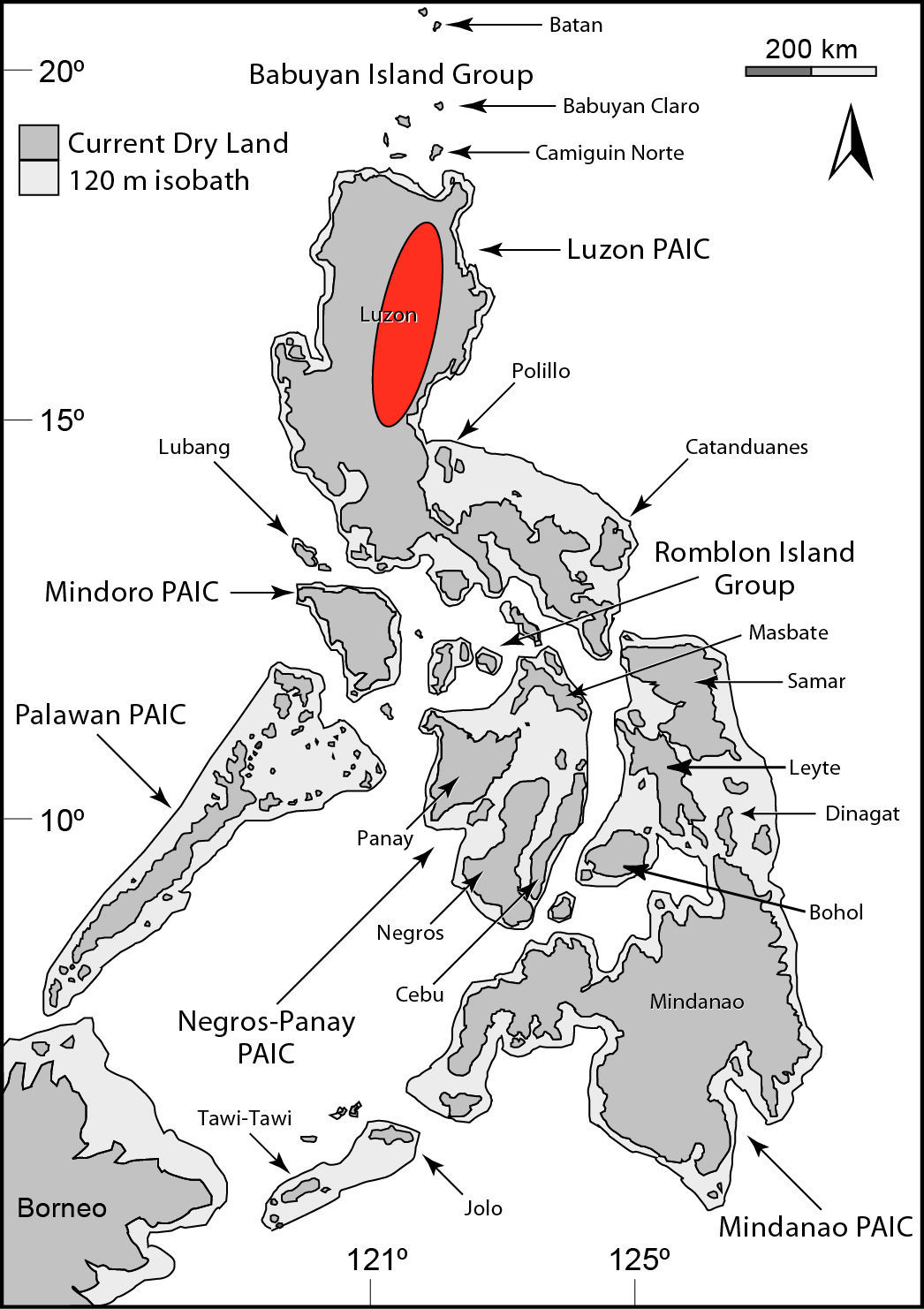 Image de Parvoscincus hadros (Brown, Linkem, Diesmos, Balete, Duya & Ferner 2010)