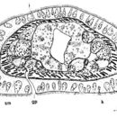 Image of Ototyphlonemertes aurantiaca (du Plessis 1891)