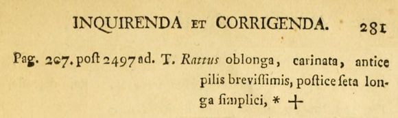 Image of Trichocerca rattus (Müller 1776)