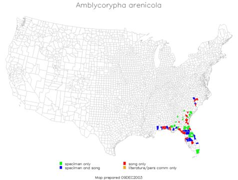 <span class="translation_missing" title="translation missing: en.medium.untitled.map_image_of, page_name: Sandhill Virtuoso Katydid">Map Image Of</span>