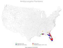 <span class="translation_missing" title="translation missing: en.medium.untitled.map_image_of, page_name: Florida False Katydid">Map Image Of</span>