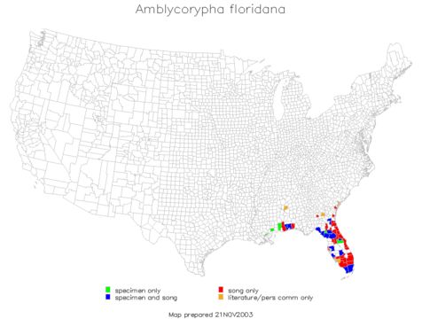 <span class="translation_missing" title="translation missing: en.medium.untitled.map_image_of, page_name: Florida False Katydid">Map Image Of</span>