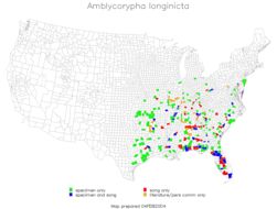 <span class="translation_missing" title="translation missing: fi.medium.untitled.map_image_of, page_name: Amblycorypha longinicta Walker &amp; T. J. 2004">Map Image Of</span>