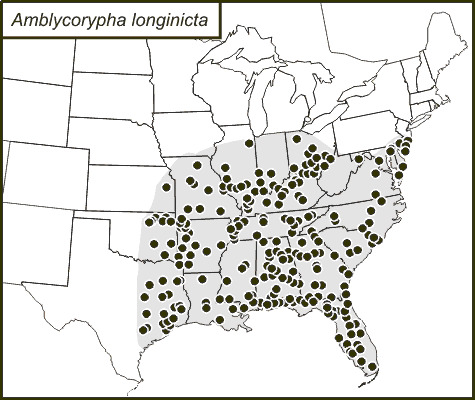 <span class="translation_missing" title="translation missing: fi.medium.untitled.map_image_of, page_name: Amblycorypha longinicta Walker &amp; T. J. 2004">Map Image Of</span>