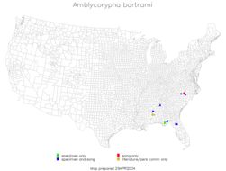 <span class="translation_missing" title="translation missing: en.medium.untitled.map_image_of, page_name: Bartram&#39;s Round-winged Katydid">Map Image Of</span>