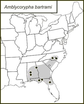 <span class="translation_missing" title="translation missing: fr.medium.untitled.map_image_of, page_name: Amblycorypha bartrami Walker &amp; T. J. 2003">Map Image Of</span>