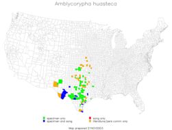 <span class="translation_missing" title="translation missing: en.medium.untitled.map_image_of, page_name: Texas False Katydid">Map Image Of</span>