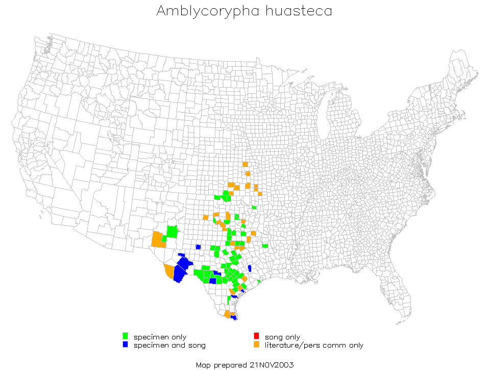 <span class="translation_missing" title="translation missing: en.medium.untitled.map_image_of, page_name: Texas False Katydid">Map Image Of</span>