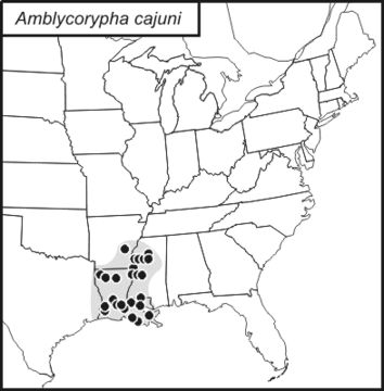 <span class="translation_missing" title="translation missing: en.medium.untitled.map_image_of, page_name: Cajun Virtuoso Katydid">Map Image Of</span>