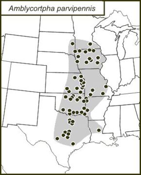 <span class="translation_missing" title="translation missing: en.medium.untitled.map_image_of, page_name: Western Round-winged Katydid">Map Image Of</span>