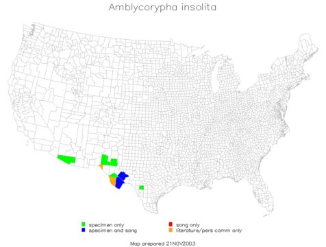 <span class="translation_missing" title="translation missing: fr.medium.untitled.map_image_of, page_name: Amblycorypha insolita Rehn, J. A. G. &amp; Hebard 1914">Map Image Of</span>