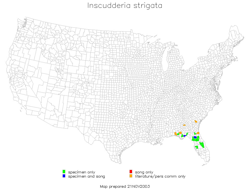 <span class="translation_missing" title="translation missing: en.medium.untitled.map_image_of, page_name: Guinea-cypress Katydid">Map Image Of</span>