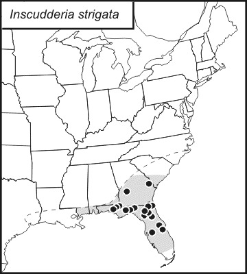 <span class="translation_missing" title="translation missing: fi.medium.untitled.map_image_of, page_name: Inscudderia strigata (Scudder &amp; S. H. 1898)">Map Image Of</span>