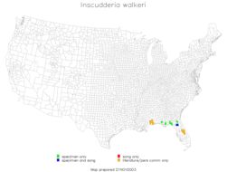 <span class="translation_missing" title="translation missing: fi.medium.untitled.map_image_of, page_name: Inscudderia walkeri Hebard 1925">Map Image Of</span>