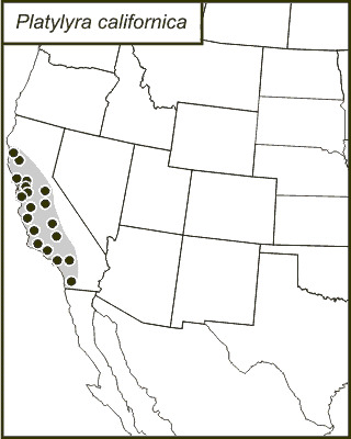 <span class="translation_missing" title="translation missing: fi.medium.untitled.map_image_of, page_name: Platylyra californica Scudder &amp; S. H. 1898">Map Image Of</span>