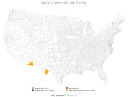 <span class="translation_missing" title="translation missing: fi.medium.untitled.map_image_of, page_name: Microcentrum latifrons Spooner &amp; J. D. 1989">Map Image Of</span>