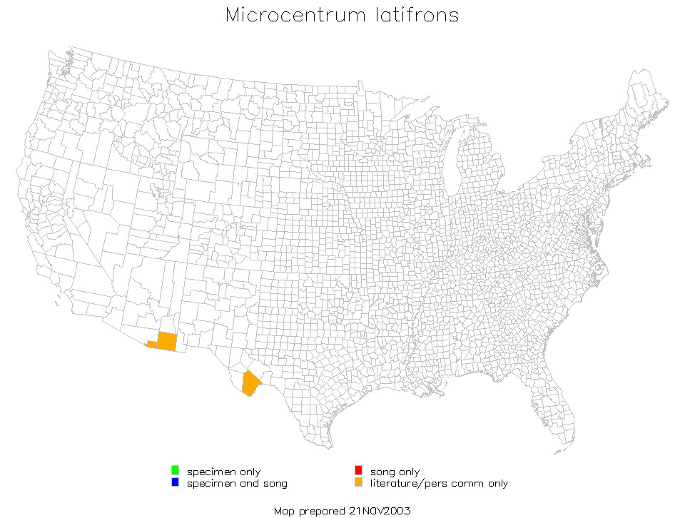 <span class="translation_missing" title="translation missing: fi.medium.untitled.map_image_of, page_name: Microcentrum latifrons Spooner &amp; J. D. 1989">Map Image Of</span>