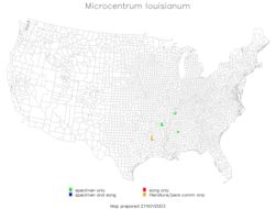 <span class="translation_missing" title="translation missing: fi.medium.untitled.map_image_of, page_name: Microcentrum louisianum Hebard 1939">Map Image Of</span>