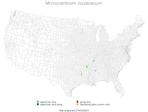 <span class="translation_missing" title="translation missing: fr.medium.untitled.map_image_of, page_name: Microcentrum louisianum Hebard 1939">Map Image Of</span>