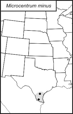 <span class="translation_missing" title="translation missing: en.medium.untitled.map_image_of, page_name: Texas Angle-wing Katydid">Map Image Of</span>