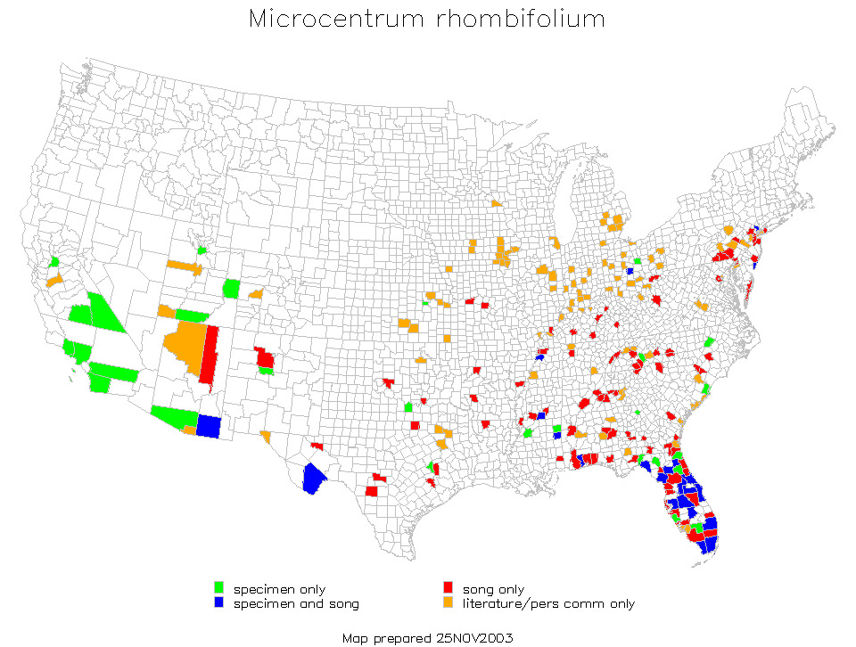 <span class="translation_missing" title="translation missing: fi.medium.untitled.map_image_of, page_name: Microcentrum rhombifolium (Saussure 1859)">Map Image Of</span>