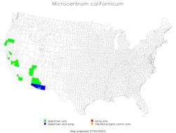 <span class="translation_missing" title="translation missing: fi.medium.untitled.map_image_of, page_name: Microcentrum californicum Hebard 1932">Map Image Of</span>