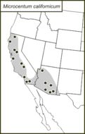 <span class="translation_missing" title="translation missing: en.medium.untitled.map_image_of, page_name: California Angle-wing Katydid">Map Image Of</span>