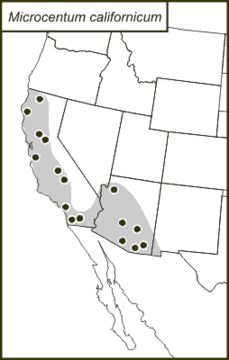 <span class="translation_missing" title="translation missing: fr.medium.untitled.map_image_of, page_name: Microcentrini">Map Image Of</span>