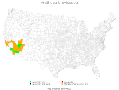 <span class="translation_missing" title="translation missing: fr.medium.untitled.map_image_of, page_name: Arethaea brevicauda (Scudder &amp; S. H. 1900)">Map Image Of</span>