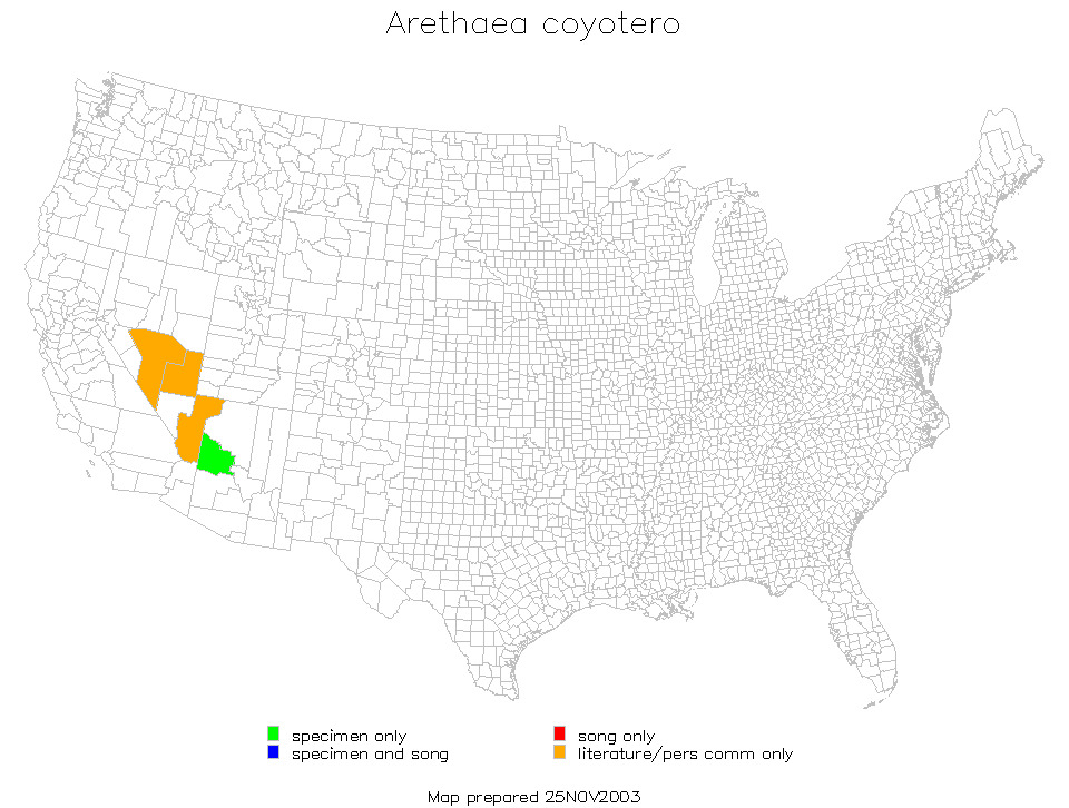 <span class="translation_missing" title="translation missing: en.medium.untitled.map_image_of, page_name: Arethaea coyotero Hebard 1935">Map Image Of</span>