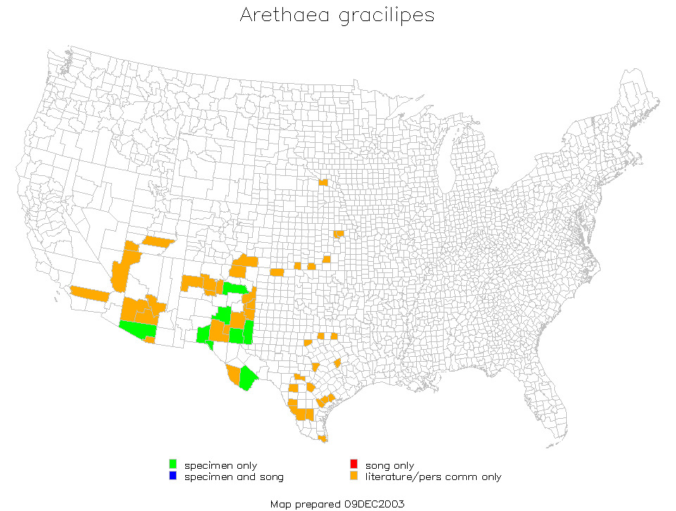 <span class="translation_missing" title="translation missing: fi.medium.untitled.map_image_of, page_name: Arethaea gracilipes (Thomas &amp; C. 1870)">Map Image Of</span>