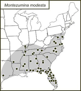 <span class="translation_missing" title="translation missing: en.medium.untitled.map_image_of, page_name: Montezumina">Map Image Of</span>