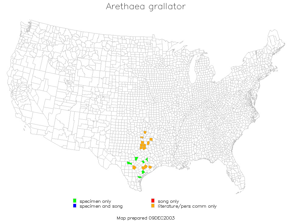 <span class="translation_missing" title="translation missing: fi.medium.untitled.map_image_of, page_name: Arethaea grallator (Scudder &amp; S. H. 1877)">Map Image Of</span>