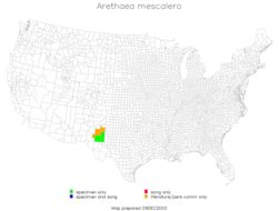 <span class="translation_missing" title="translation missing: en.medium.untitled.map_image_of, page_name: Arethaea mescalero Hebard 1936">Map Image Of</span>