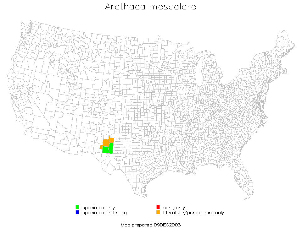 <span class="translation_missing" title="translation missing: en.medium.untitled.map_image_of, page_name: Arethaea mescalero Hebard 1936">Map Image Of</span>