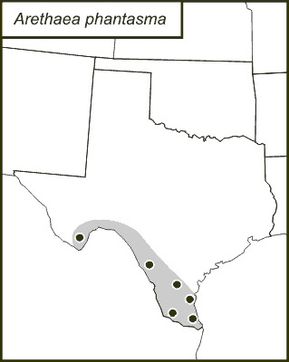 <span class="translation_missing" title="translation missing: en.medium.untitled.map_image_of, page_name: Rio Grande Thread-legged Katydid">Map Image Of</span>