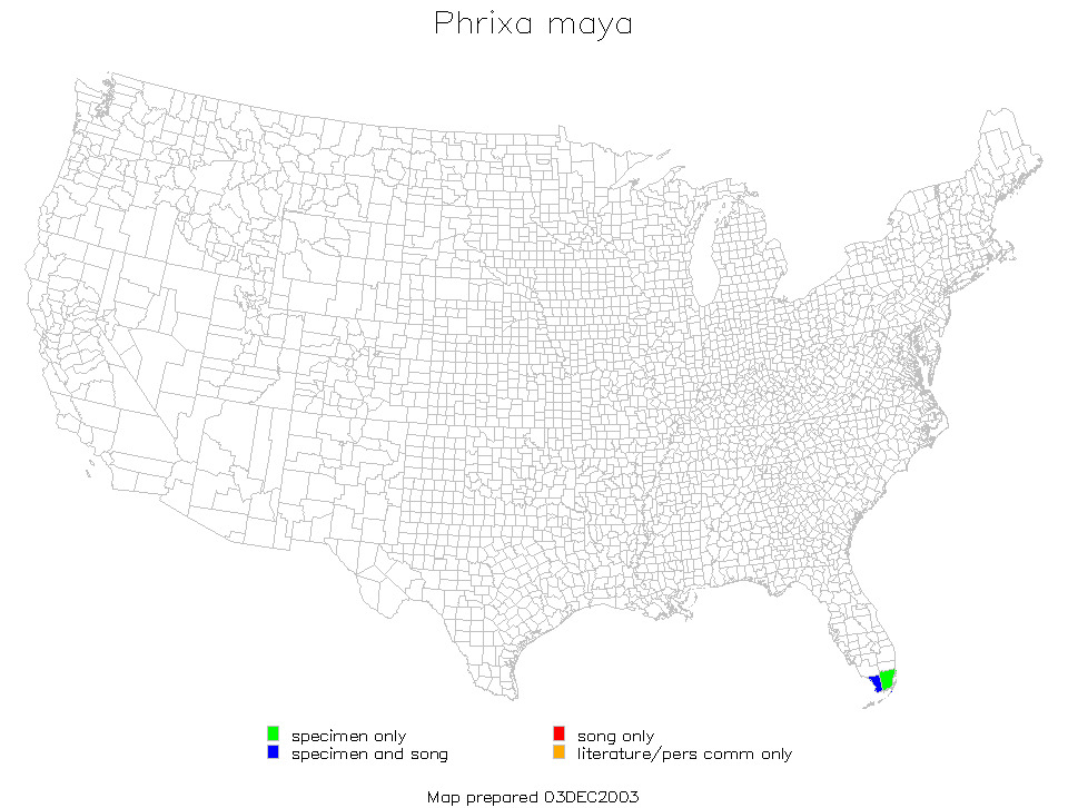 <span class="translation_missing" title="translation missing: en.medium.untitled.map_image_of, page_name: Yucatan Katydid">Map Image Of</span>