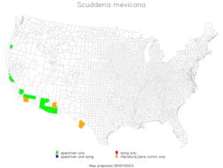 <span class="translation_missing" title="translation missing: fi.medium.untitled.map_image_of, page_name: Scudderia mexicana (Saussure 1861)">Map Image Of</span>