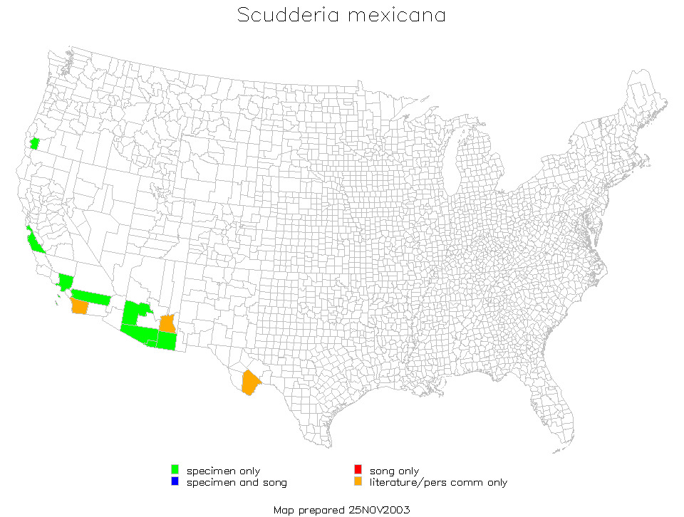 <span class="translation_missing" title="translation missing: fr.medium.untitled.map_image_of, page_name: Scudderia mexicana (Saussure 1861)">Map Image Of</span>
