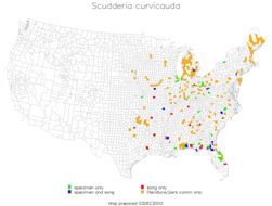 <span class="translation_missing" title="translation missing: en.medium.untitled.map_image_of, page_name: Curve-tailed Bush Katydid">Map Image Of</span>