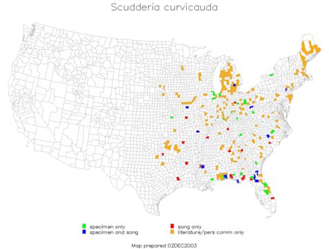 <span class="translation_missing" title="translation missing: en.medium.untitled.map_image_of, page_name: Curve-tailed Bush Katydid">Map Image Of</span>