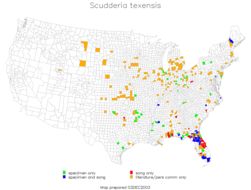 <span class="translation_missing" title="translation missing: en.medium.untitled.map_image_of, page_name: Texas Bush Katydid">Map Image Of</span>