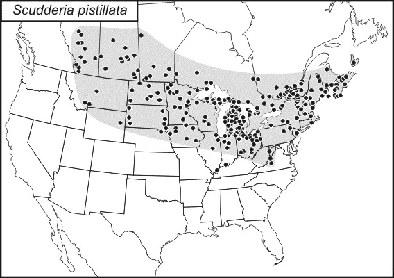 <span class="translation_missing" title="translation missing: en.medium.untitled.map_image_of, page_name: Broad-winged Bush Katydid">Map Image Of</span>