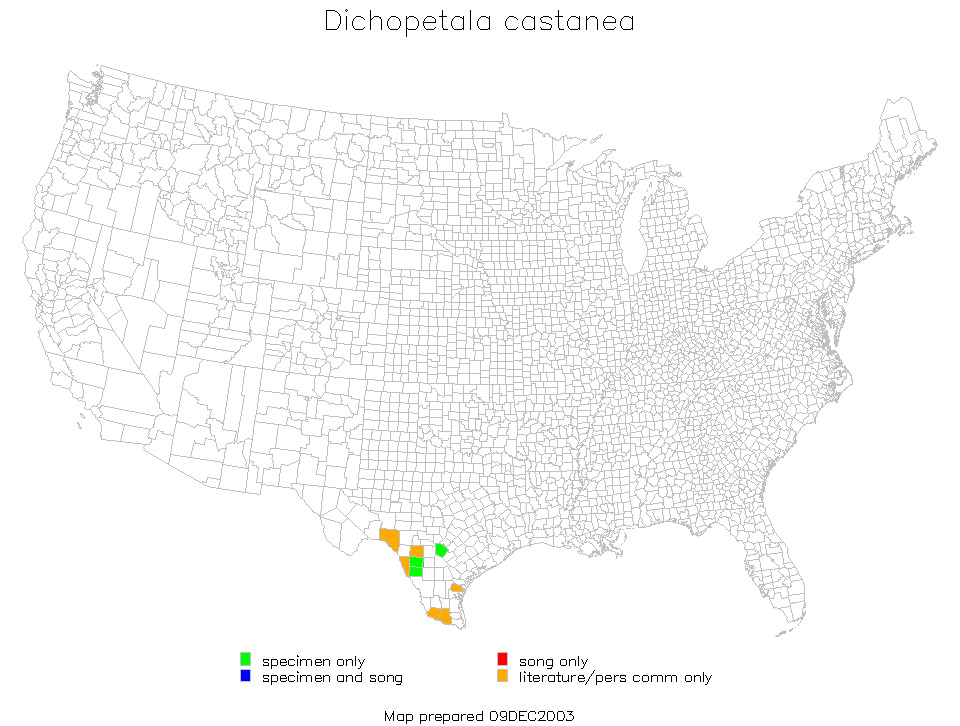 <span class="translation_missing" title="translation missing: en.medium.untitled.map_image_of, page_name: Chestnut Short-wing Katydid">Map Image Of</span>